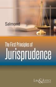 Law& Justice The First Principles of Jurisprudence By Salmond Reprint Edition 2026